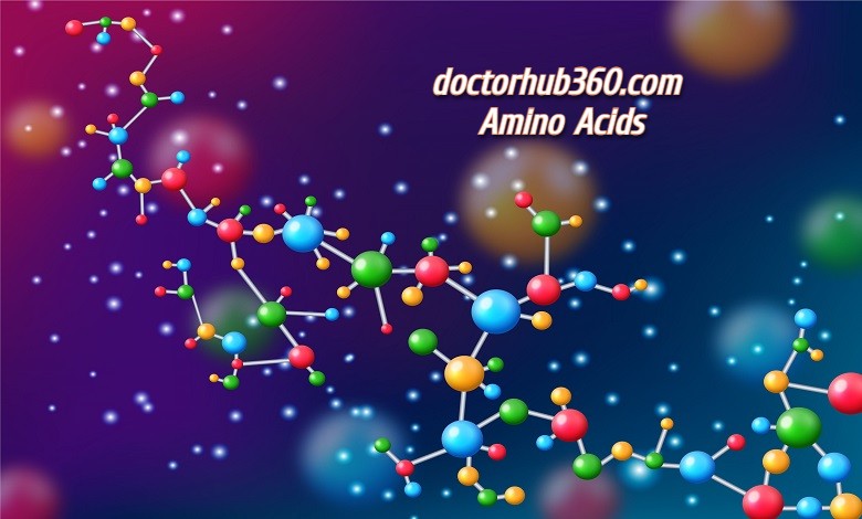 doctorhub360.com Amino Acids