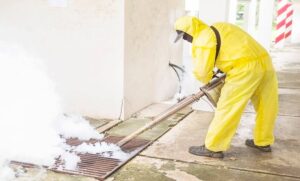 Read more about the article Kleen Condition:The Experts in Mold & Asbestos Safety